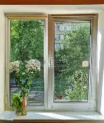 北京国安高清组图央视网